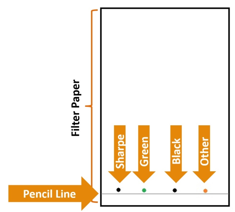 Paper Chromatography Catherine Haslag