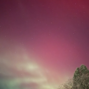 The Northern Lights, November 11, 2025