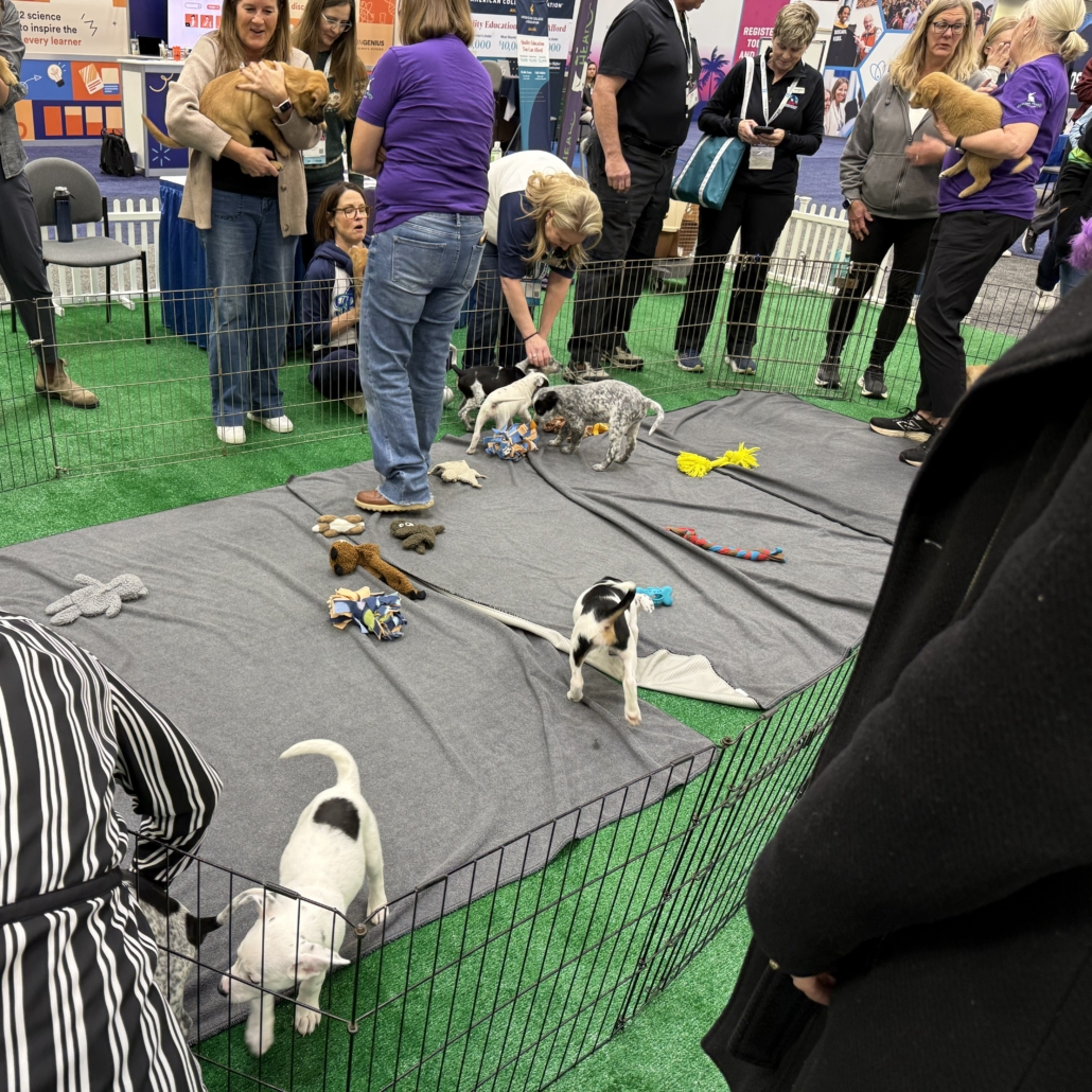 Puppies available for adoption at the NSTA conference.