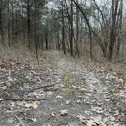 Photo of the Osage Trail located at the Clark's Hill/Norton State Historic Site near Osage City, MO.