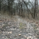 Photo of the Osage Trail located at the Clark's Hill/Norton State Historic Site near Osage City, MO.