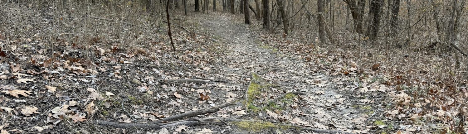 Photo of the Osage Trail located at the Clark's Hill/Norton State Historic Site near Osage City, MO.
